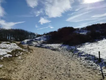 De Panne in de sneeuw (België)